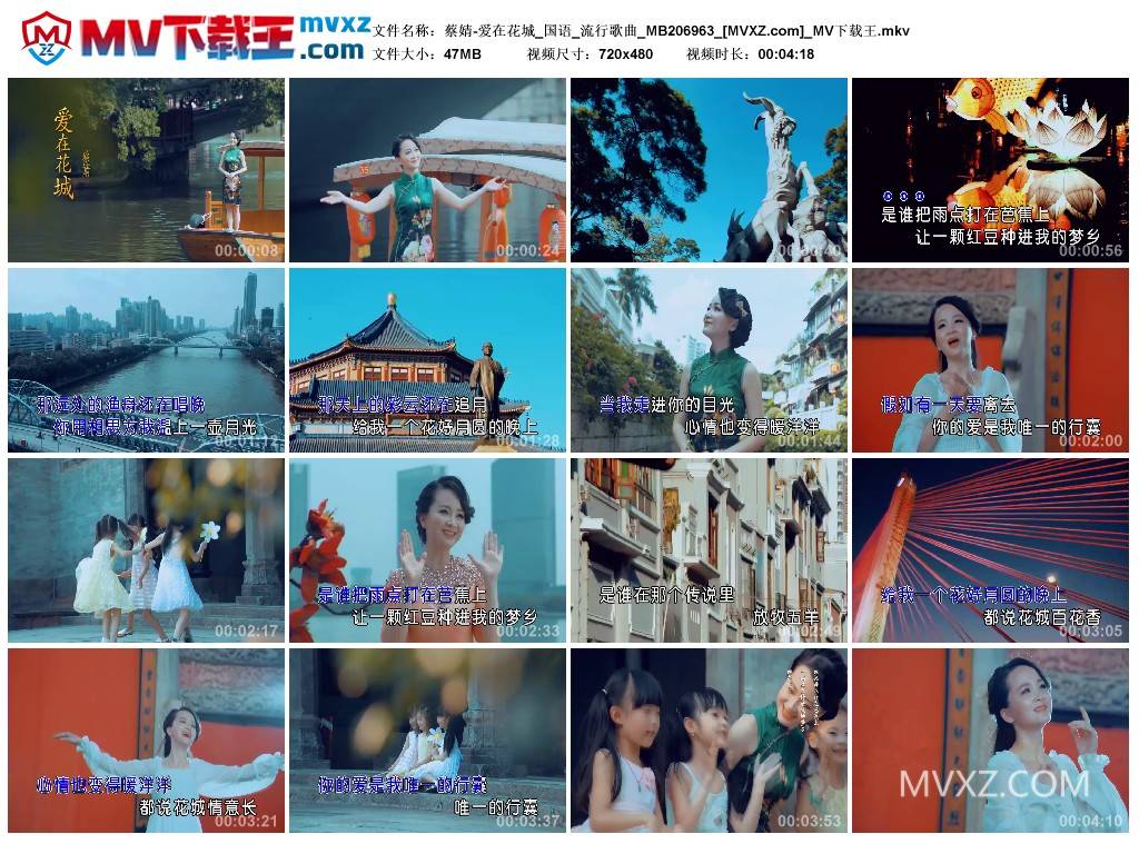 蔡婧-爱在花城_国语_流行歌曲_MB206963